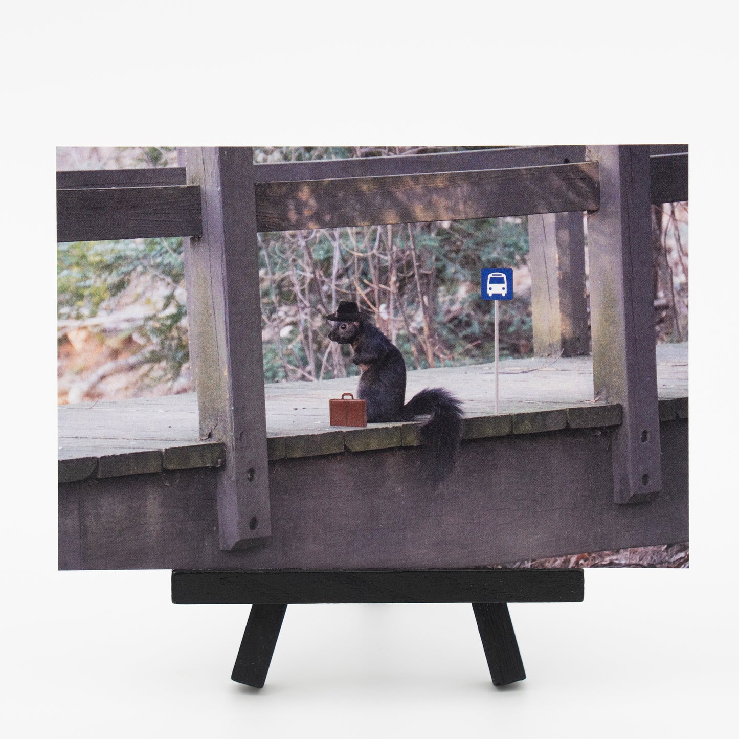 Business Squirrel - Small Works Premium Postcard