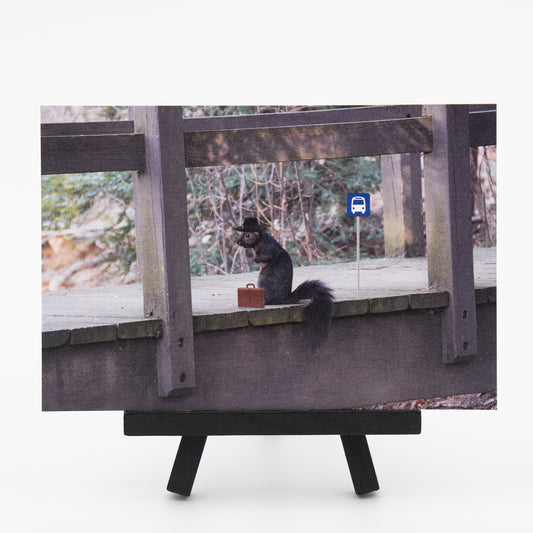 Business Squirrel - Small Works Premium Postcard