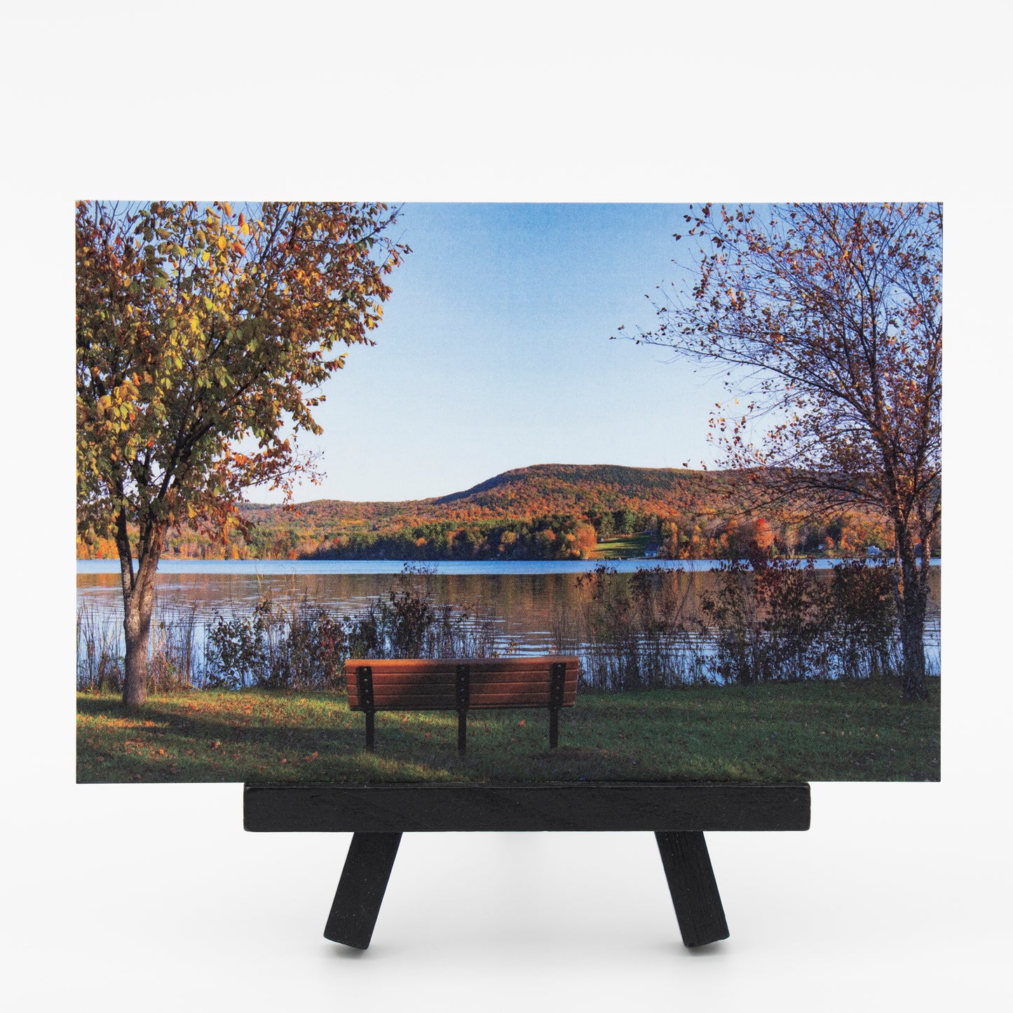 Richmond Pond in Richmond, Ma - Small Works Premium Postcard