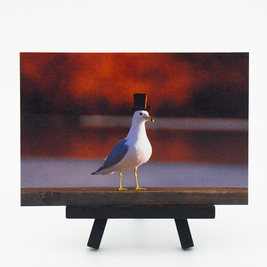 Sir Sebastian von Gull - Small Works Premium Postcard