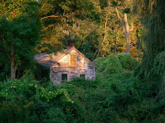 House Hidden in the Leaves Fine Art Print - (Multiple Sizes!)