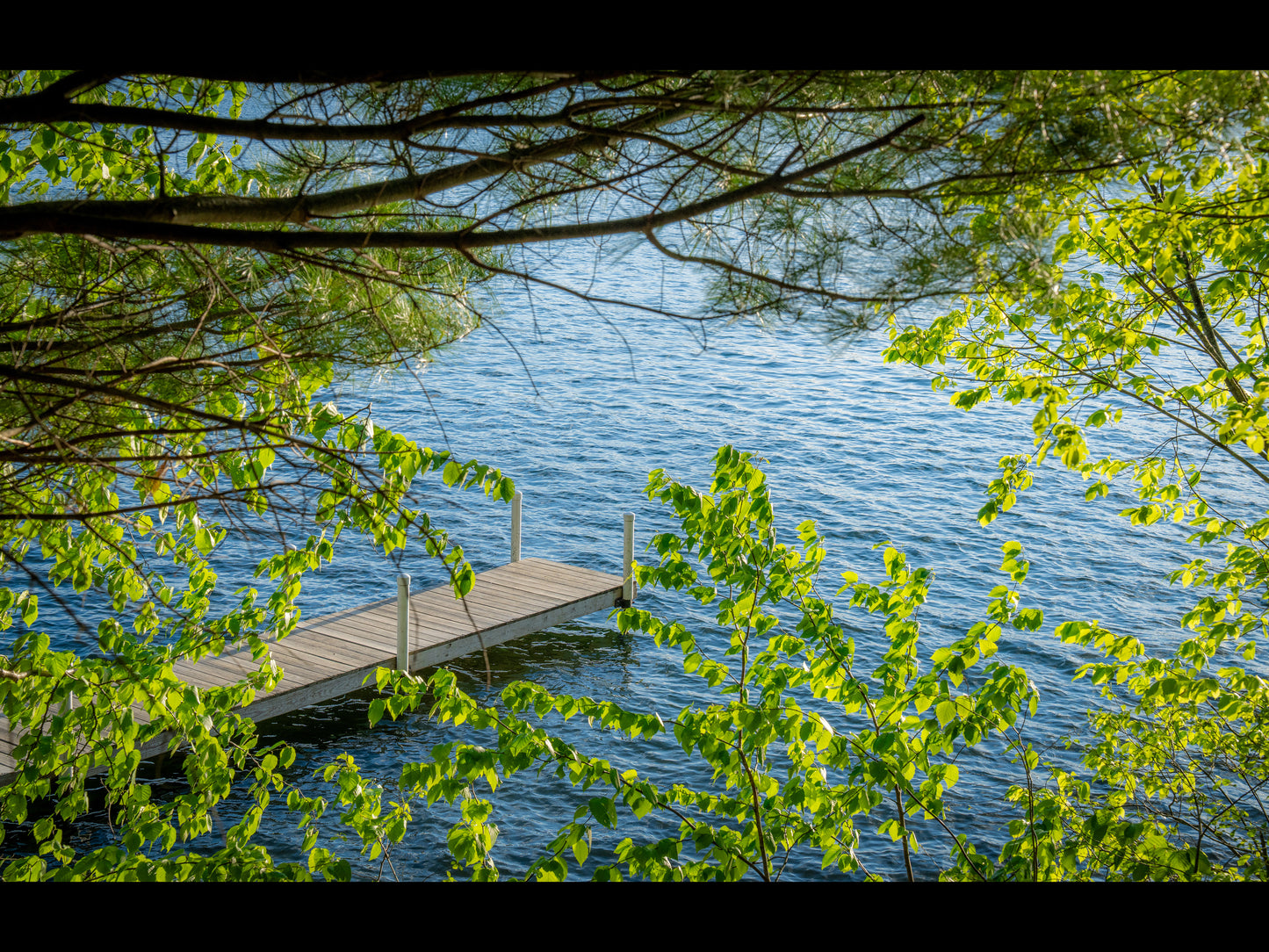 Onota Lake Boat Dock in Pittsfield, Ma Fine Art Print - (Multiple Sizes!)