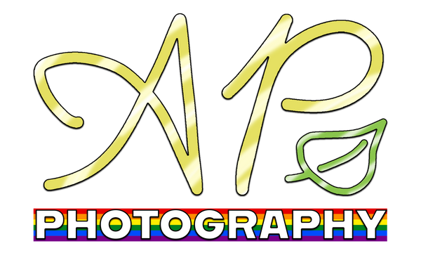 Autumn Phoenix Photography