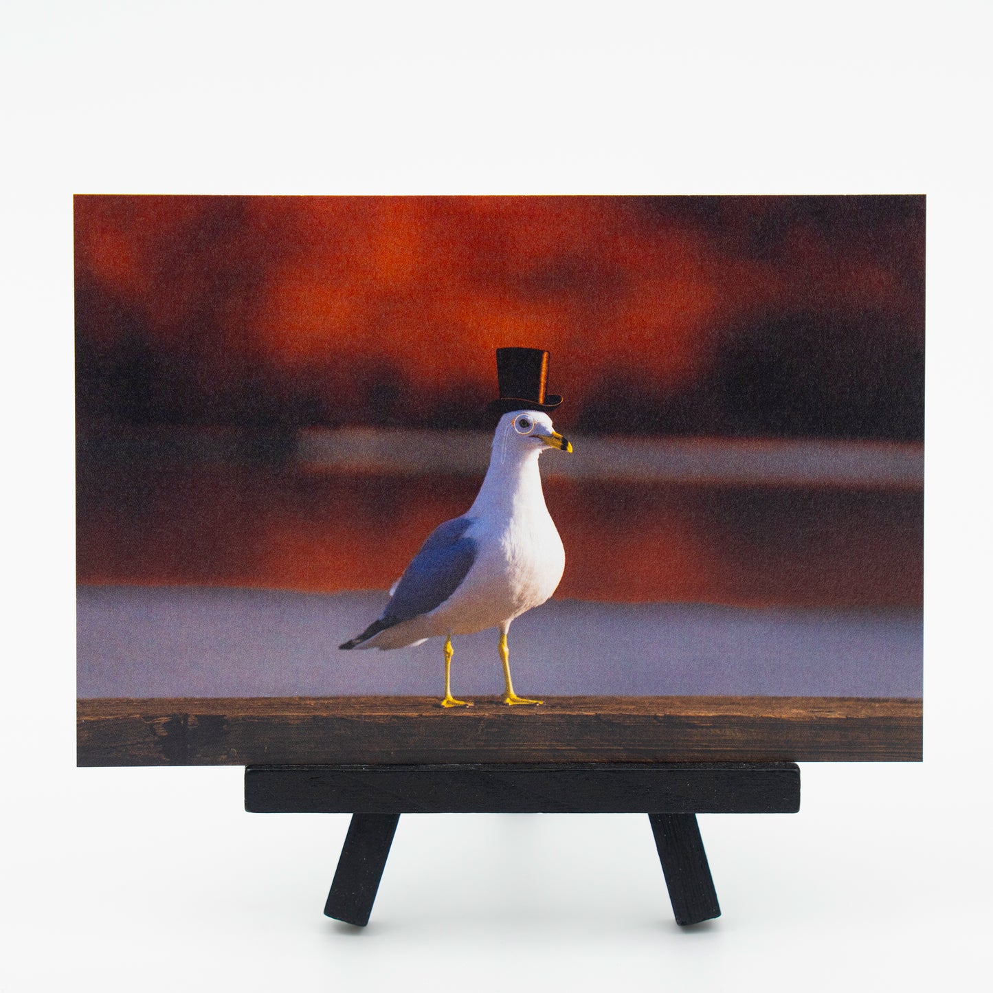 Sir Sebastian von Gull - Small Works Premium Postcard