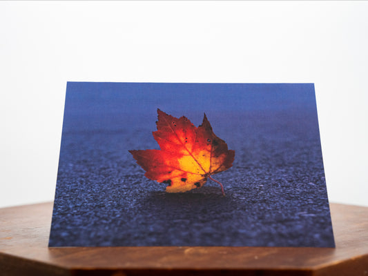 Greeting Card (Blank Inside) - Autumn's Leaf