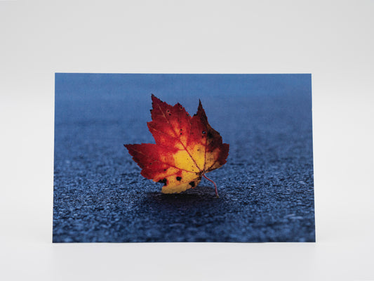 Autumn's Leaf - 4x6 Mini Art Print