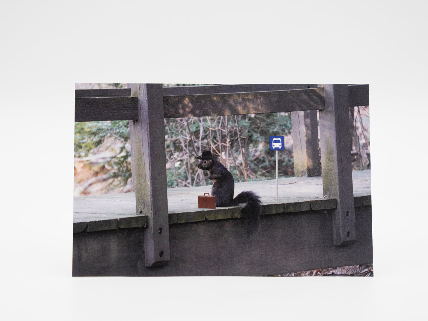 Business Squirrel - 4x6 Mini Art Print