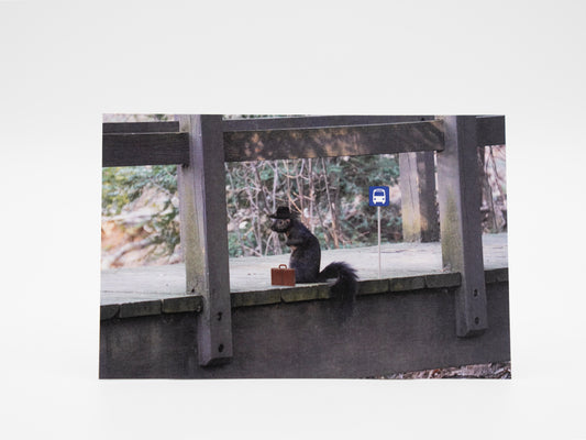 Business Squirrel - 4x6 Mini Art Print