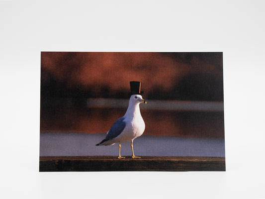 Sir Sebastian von Gull - 4x6 Mini Art Print
