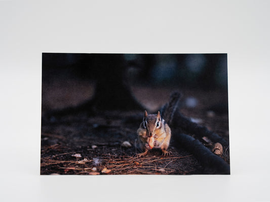 Dinner Time - 4x6 Mini Art Print