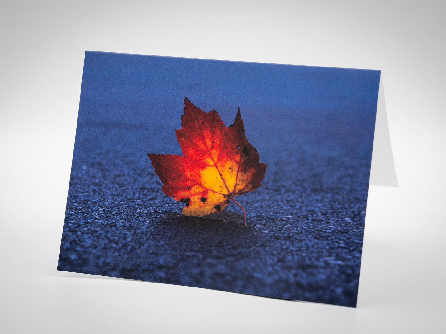 Greeting Card (Blank Inside) - Autumn's Leaf