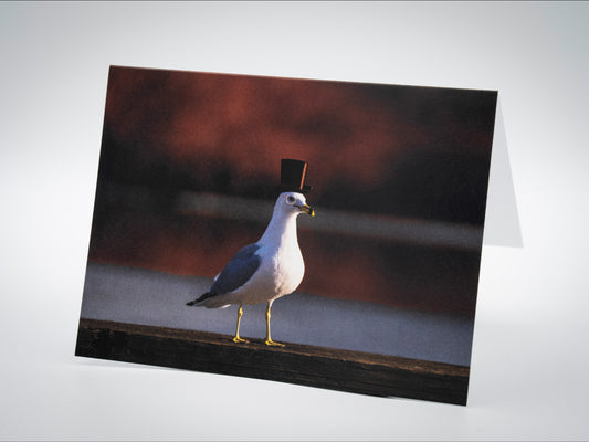 Greeting Card (Blank Inside) - Sir Sebastian von Gull, Kingston, NY