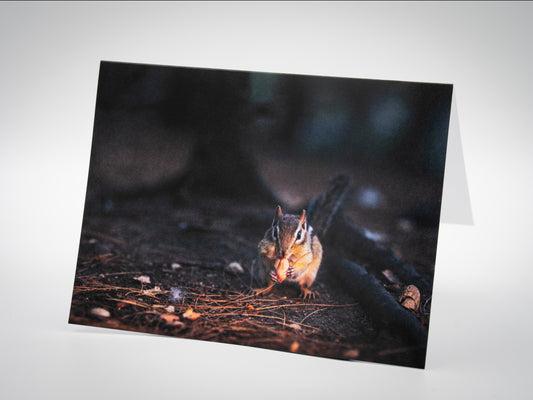 Greeting Card (Blank Inside) - Dinner Time, Stanley Park, Westfield, MA